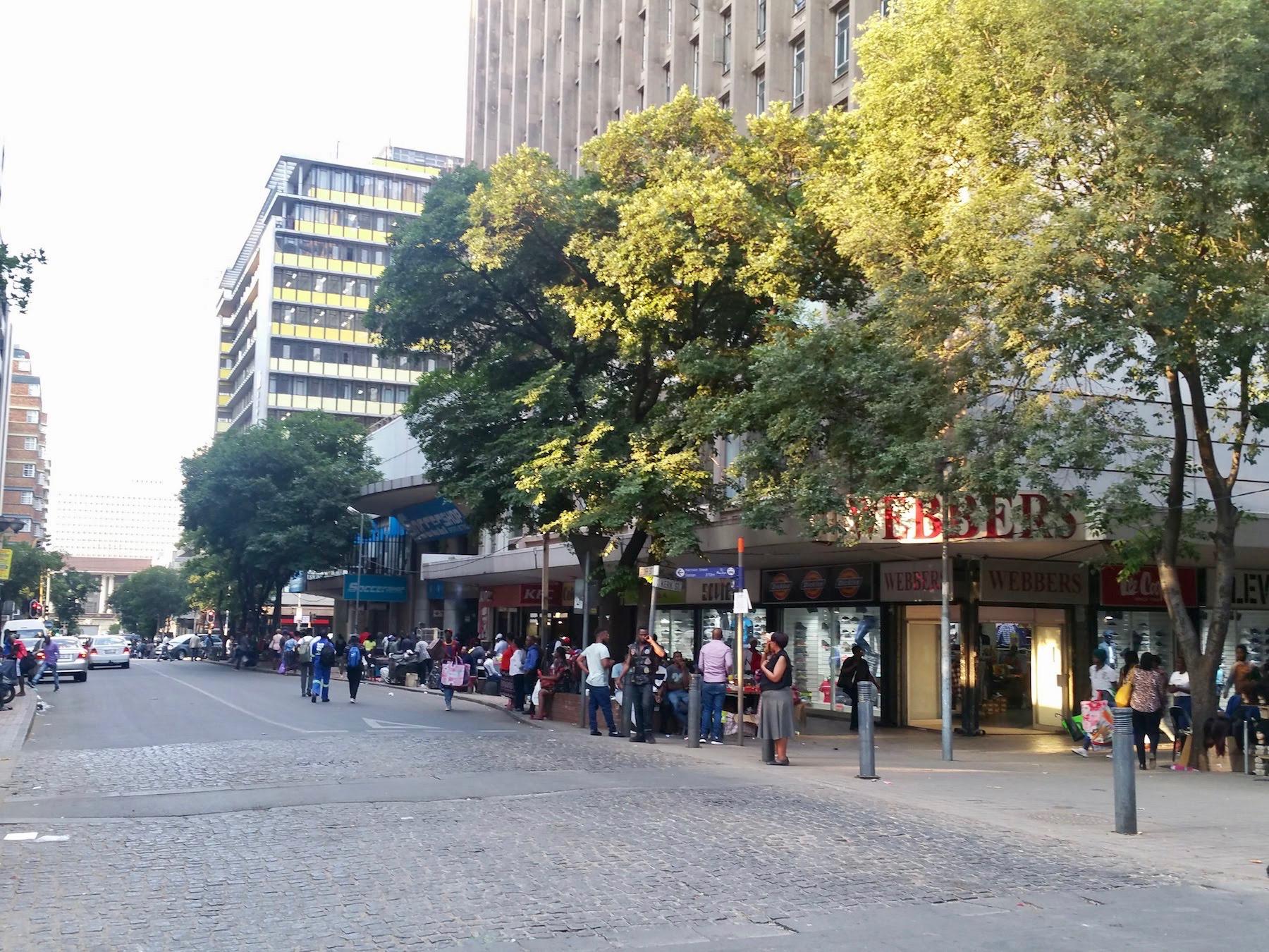 Destruction of Eloff Street Trees The Heritage Portal